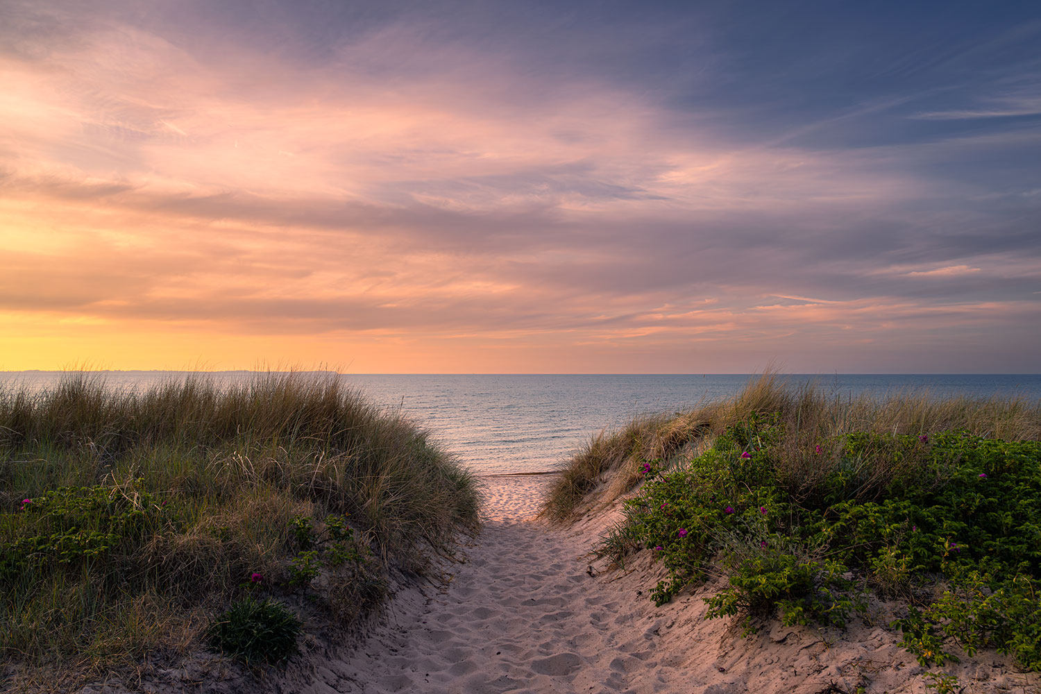 Insel Rügen Küstenlandschaft